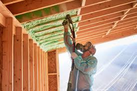 Best Eco-Friendly Insulation Solutions  in North Hudson, WI