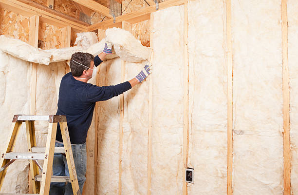 Best Commercial Insulation Services  in North Hudson, WI